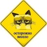 Автор отзыва саша лехман